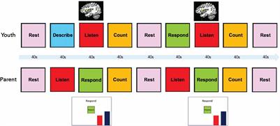 Real-Time Functional Magnetic Resonance Imaging Dyadic Neurofeedback for Emotion Regulation: A Proof-of-Concept Study